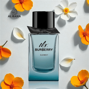 Mr. Burberry Element EDP for Men 100ml