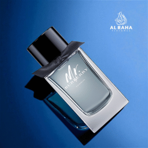 Mr. Burberry Indigo EDT for Men 100ml