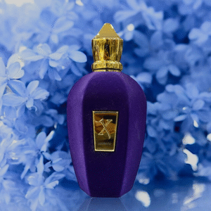 Xerjoff Accento Eau De Parfum Unisex 100ml