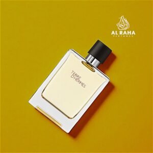 Terre D'Hermès Eau De Toilette – 100Ml